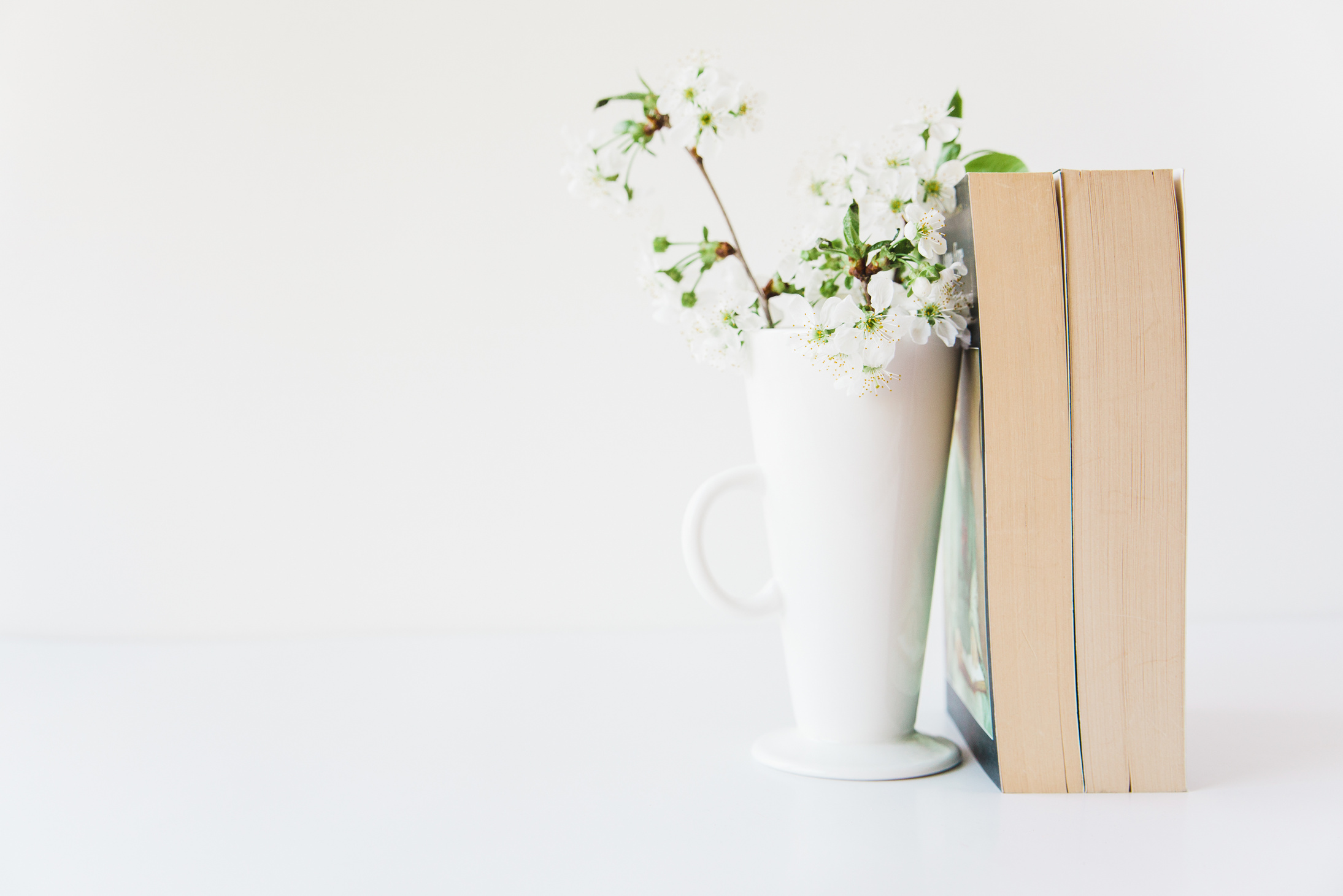 Books and flowers in vase.White minimalistic background.Copy space.